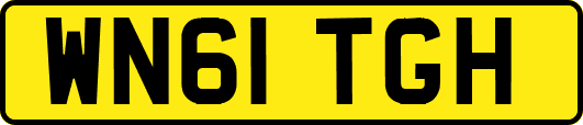 WN61TGH