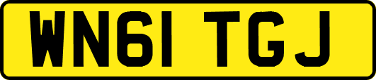 WN61TGJ