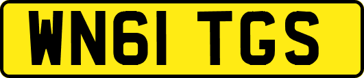 WN61TGS