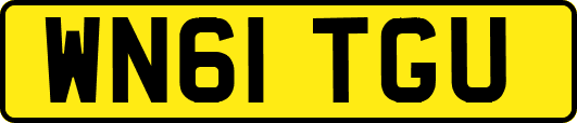 WN61TGU