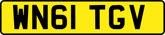 WN61TGV