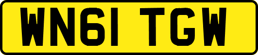 WN61TGW