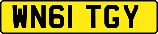 WN61TGY