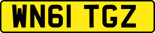 WN61TGZ