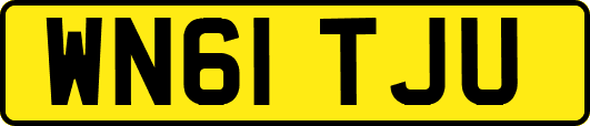 WN61TJU