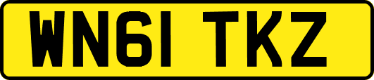 WN61TKZ