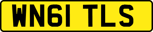 WN61TLS