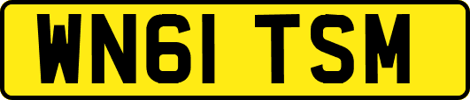 WN61TSM