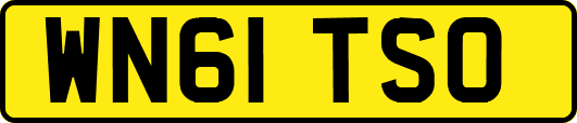 WN61TSO