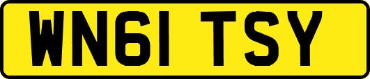 WN61TSY