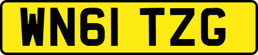 WN61TZG
