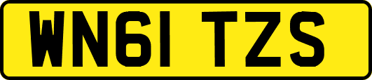 WN61TZS