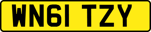 WN61TZY