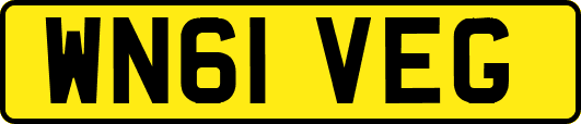 WN61VEG