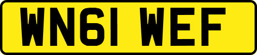 WN61WEF