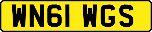 WN61WGS