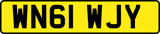 WN61WJY