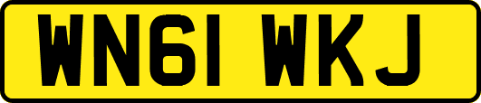 WN61WKJ