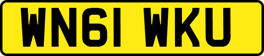 WN61WKU