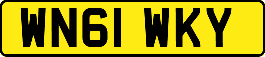 WN61WKY