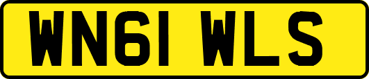 WN61WLS