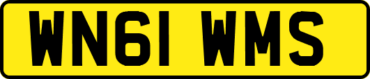 WN61WMS