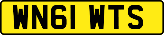 WN61WTS
