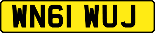 WN61WUJ