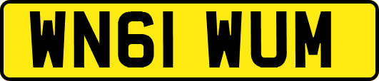 WN61WUM