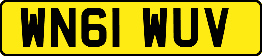 WN61WUV