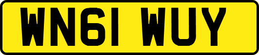 WN61WUY