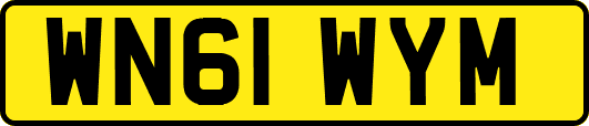 WN61WYM