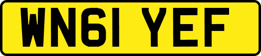 WN61YEF