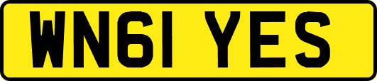 WN61YES