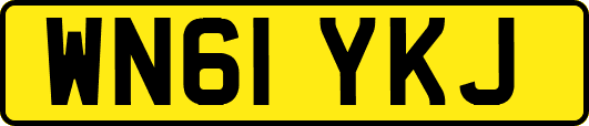 WN61YKJ