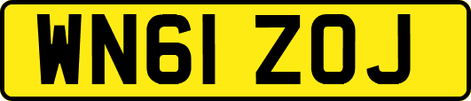 WN61ZOJ