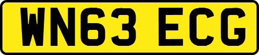 WN63ECG