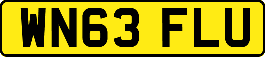 WN63FLU