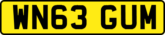 WN63GUM