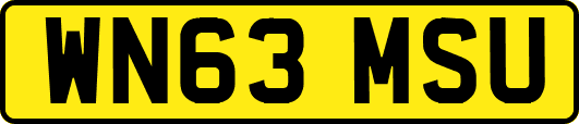 WN63MSU