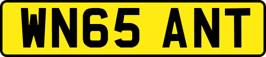WN65ANT