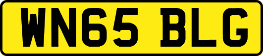 WN65BLG
