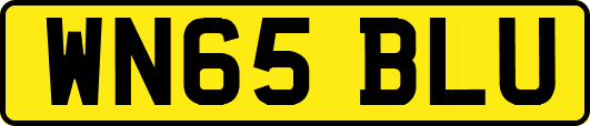 WN65BLU