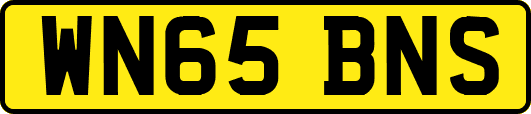 WN65BNS