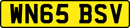 WN65BSV