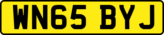 WN65BYJ