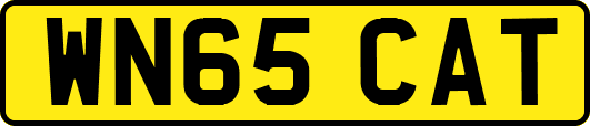 WN65CAT