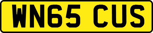 WN65CUS