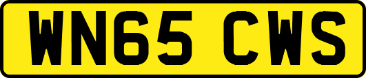 WN65CWS