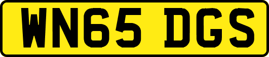 WN65DGS